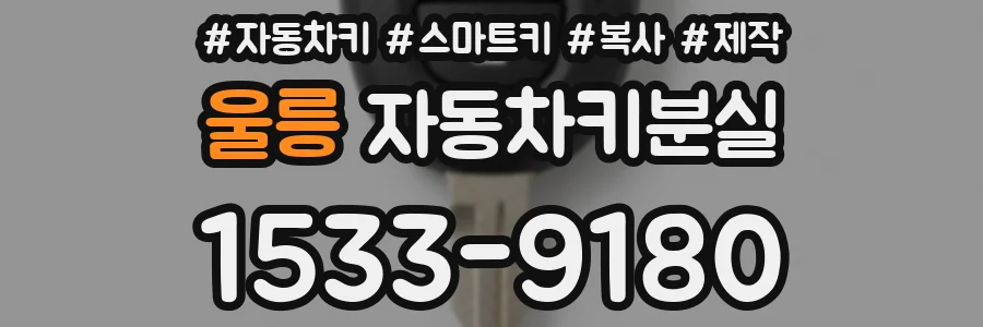 울릉 자동차키분실