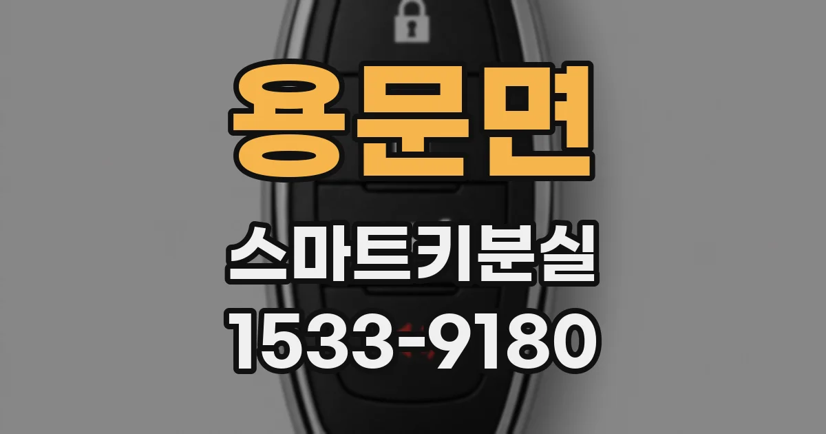 용문면 스마트키분실