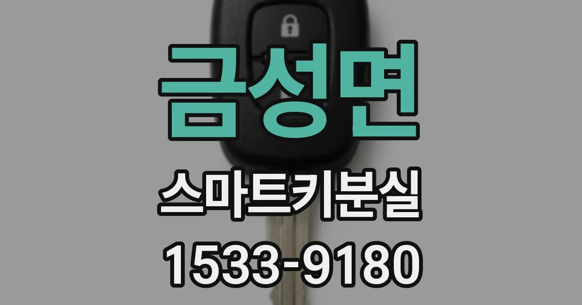 금성면 스마트키분실