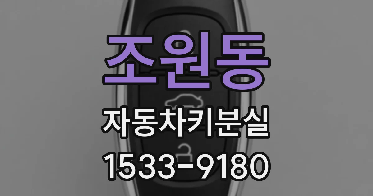 조원동 자동차키분실