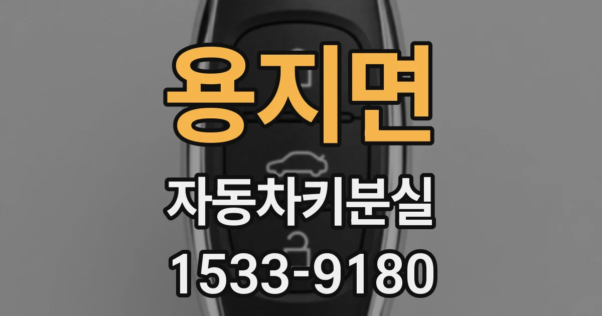 용지면 자동차키분실