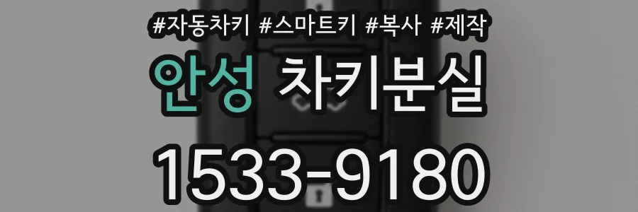 안성 차키분실