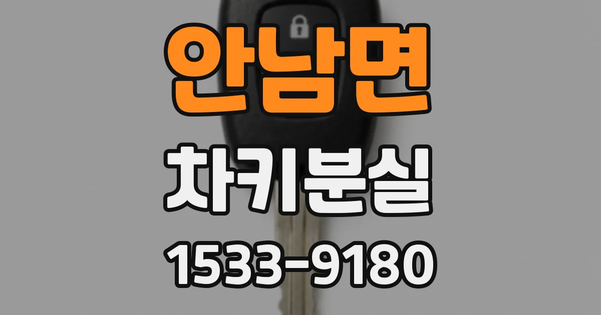 안남면 차키분실