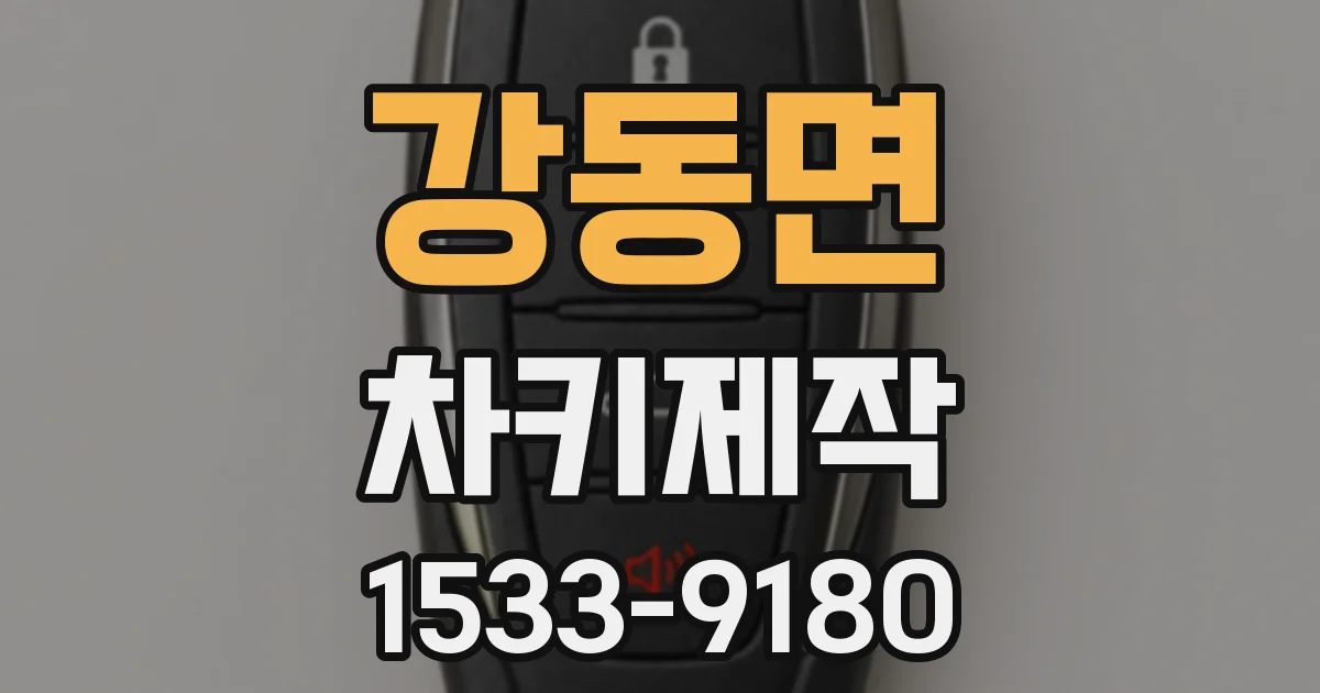 강동면 차키제작
