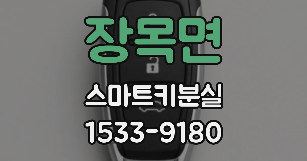 장목면 스마트키분실