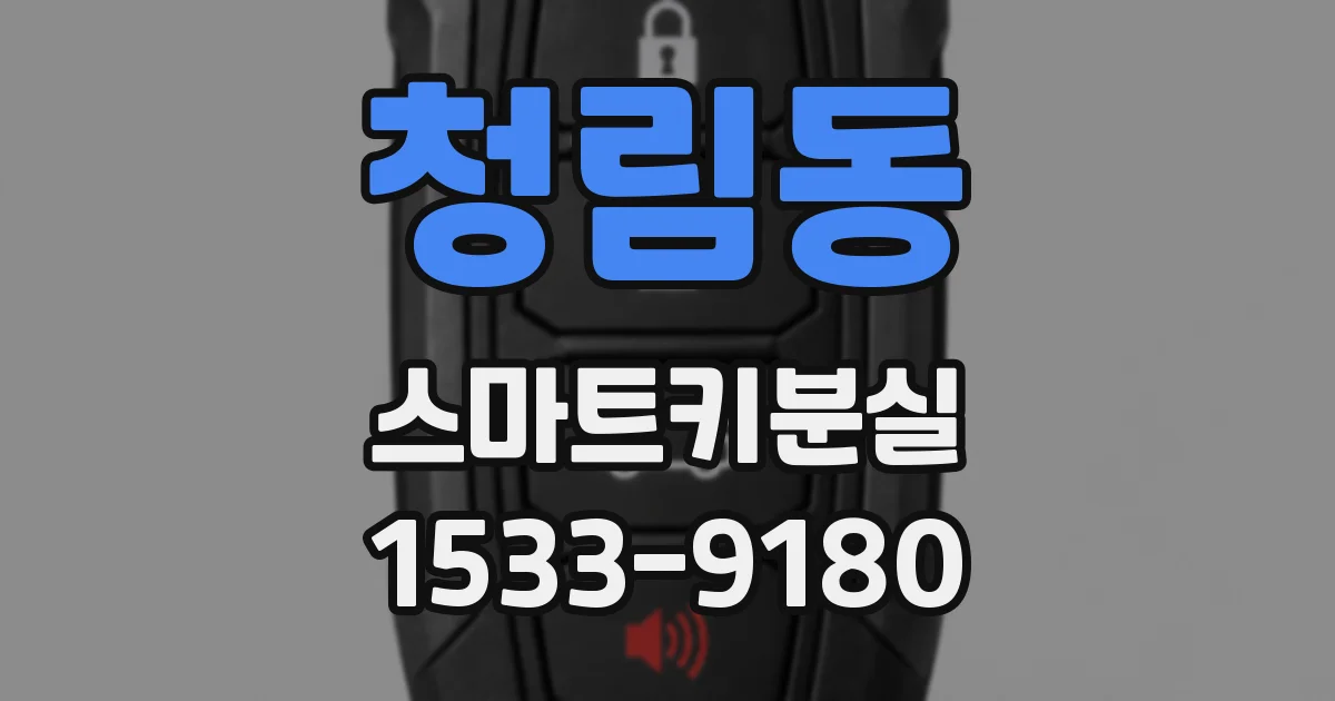 청림동 스마트키분실