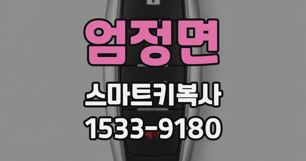 엄정면 스마트키복사