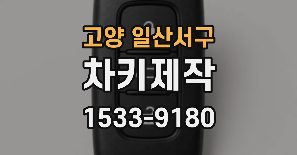고양 일산서구 차키제작