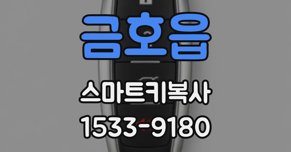 금호읍 스마트키복사