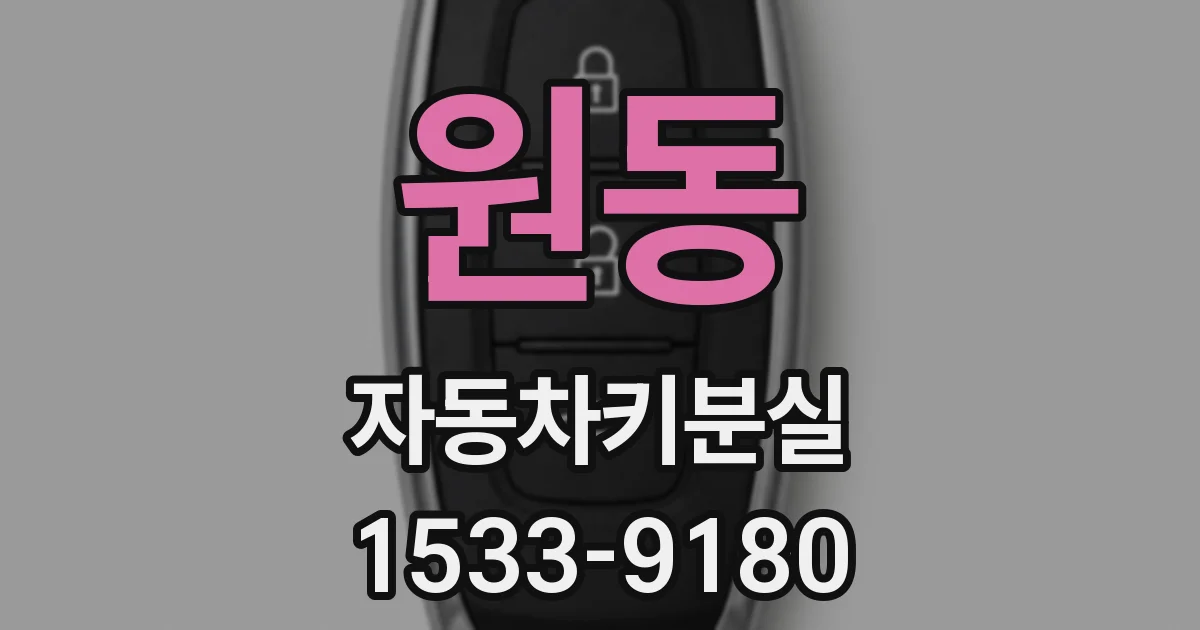 원동 자동차키분실