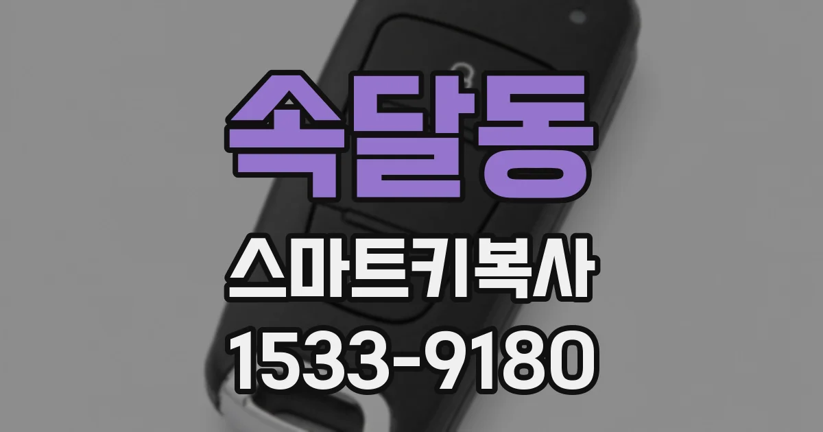 속달동 스마트키복사