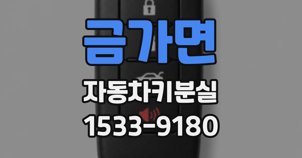 금가면 자동차키분실