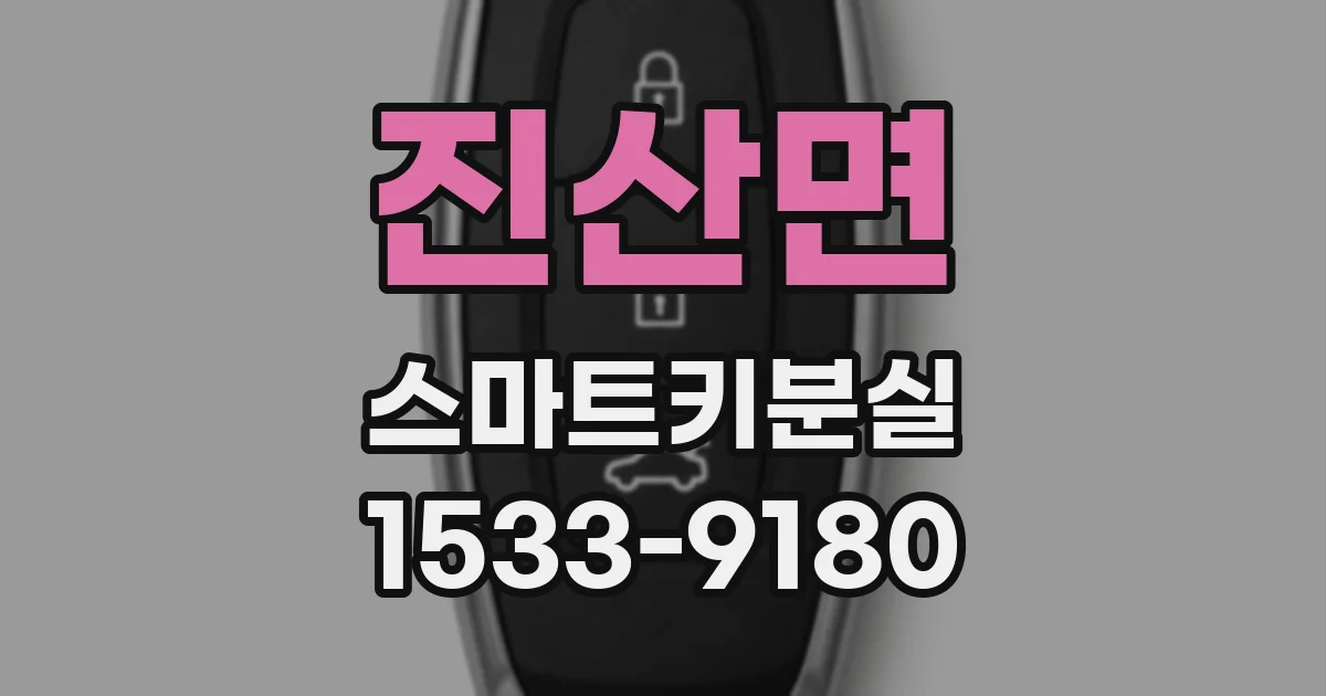 진산면 스마트키분실