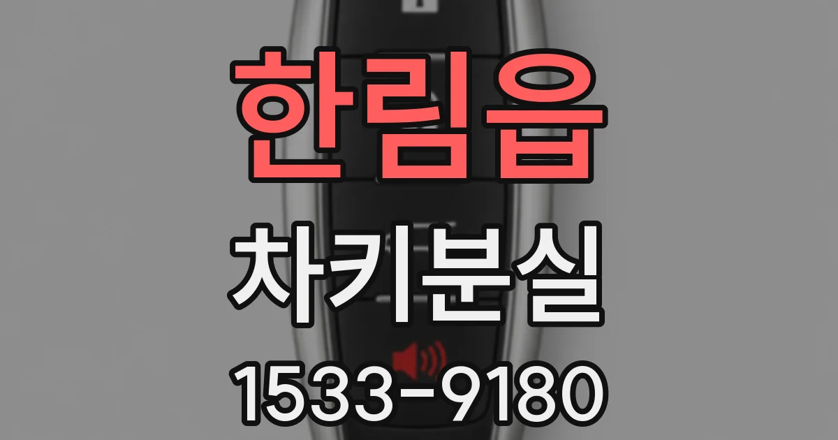한림읍 차키분실