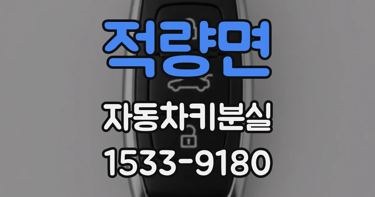 적량면 자동차키분실