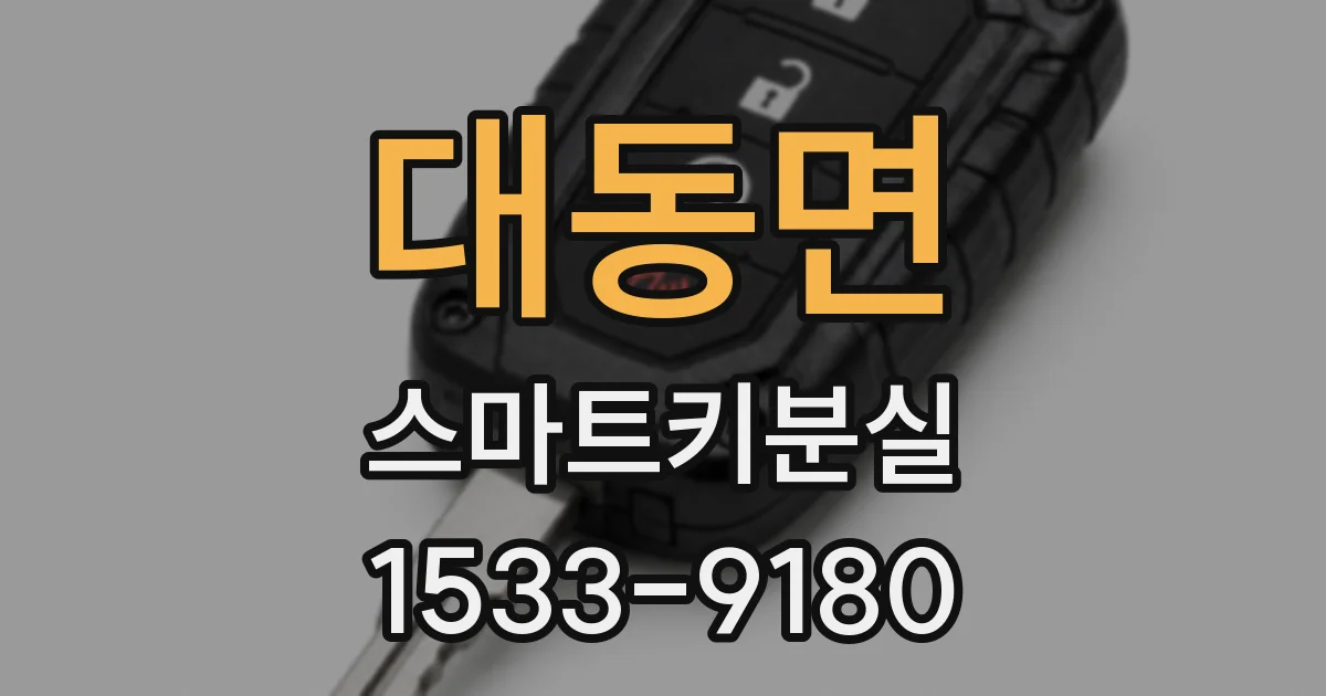대동면 스마트키분실