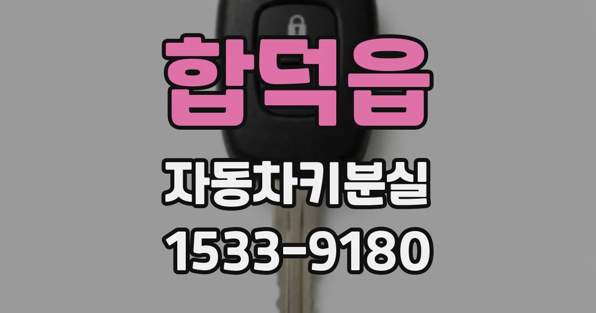 합덕읍 자동차키분실
