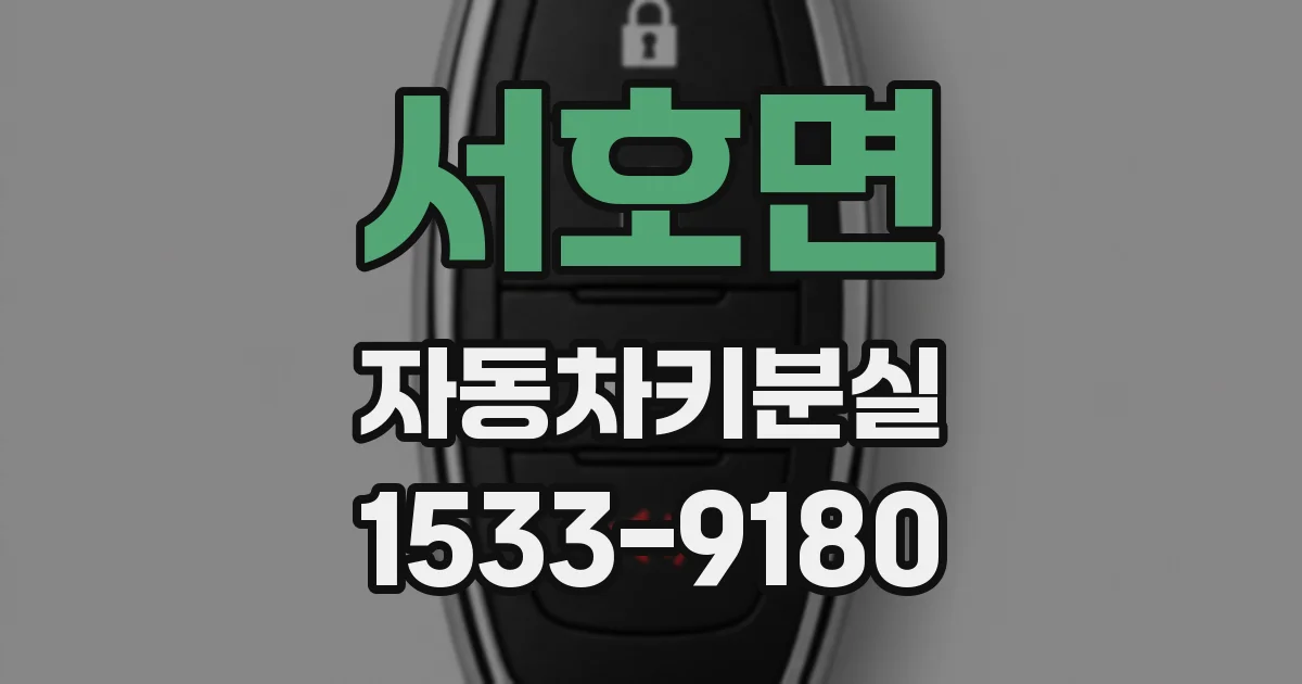 서호면 자동차키분실