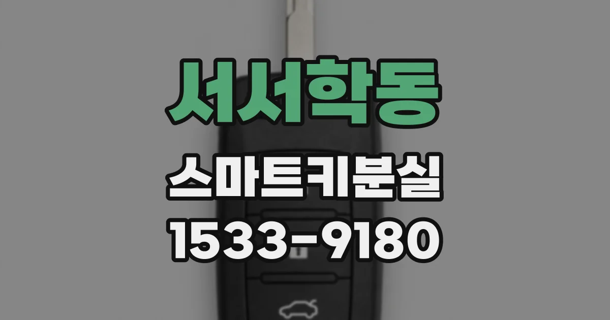서서학동 스마트키분실