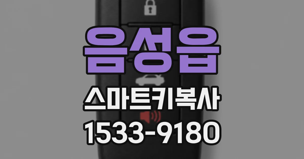 음성읍 스마트키복사
