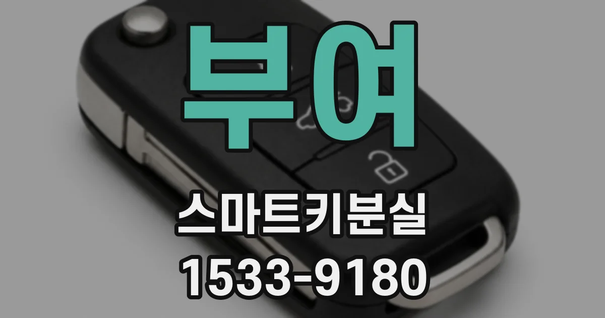부여 스마트키분실