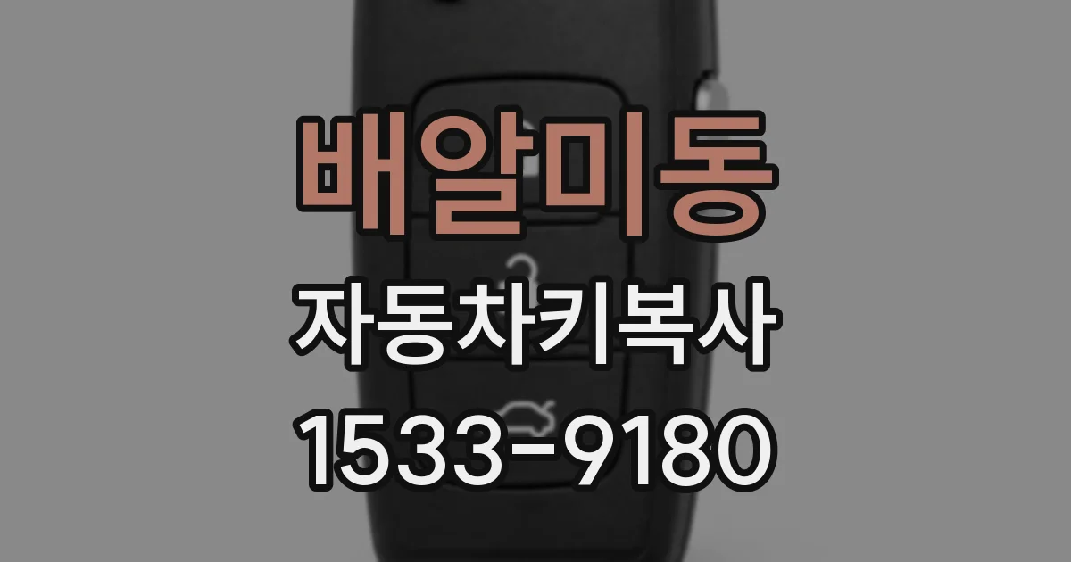 배알미동 자동차키복사