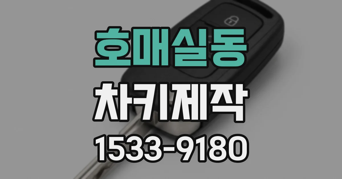 호매실동 차키제작