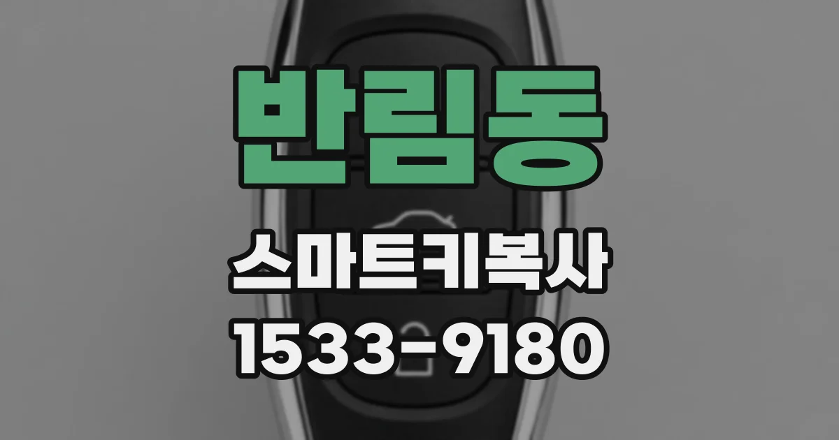 반림동 스마트키복사