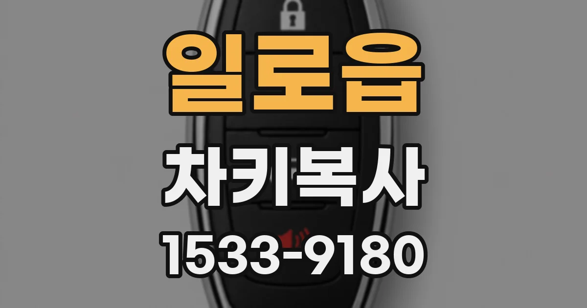 일로읍 차키복사