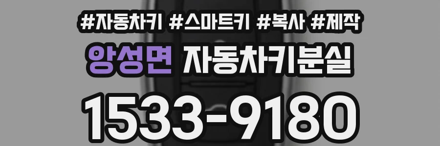 앙성면 자동차키분실