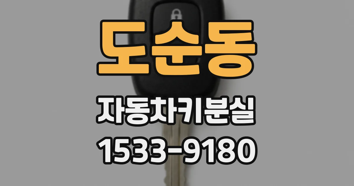 도순동 자동차키분실