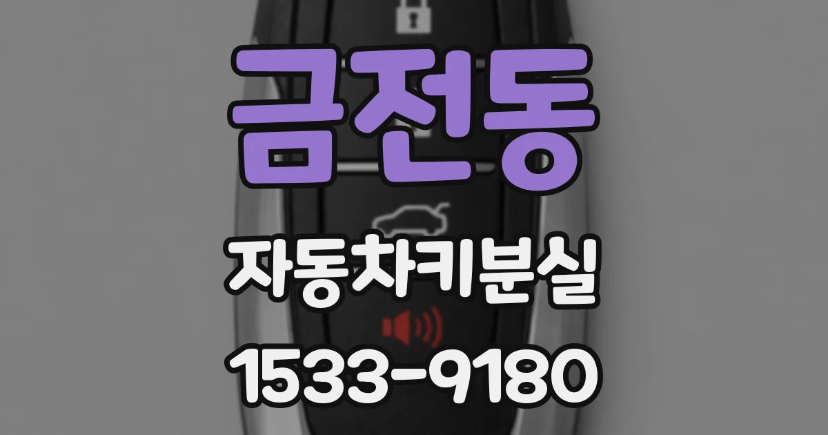 금전동 자동차키분실