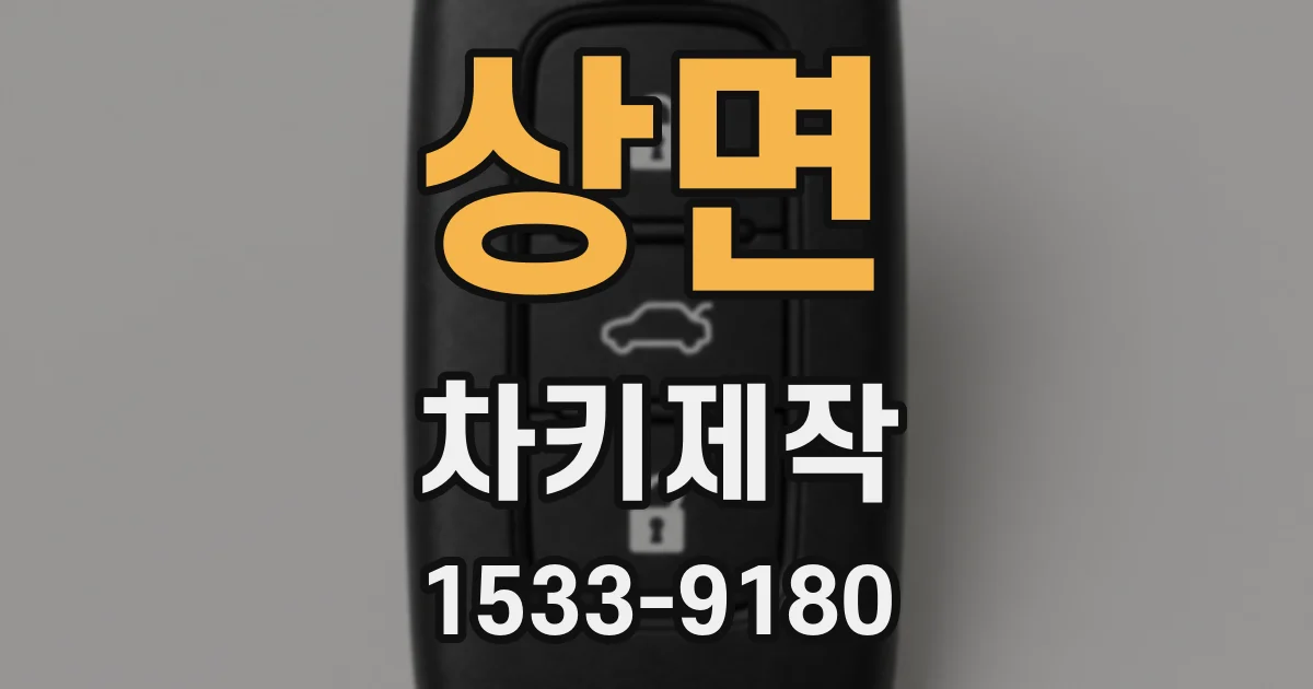 상면 차키제작