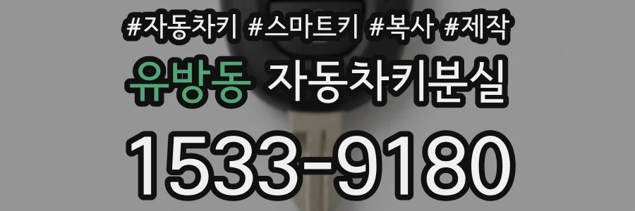 유방동 자동차키분실