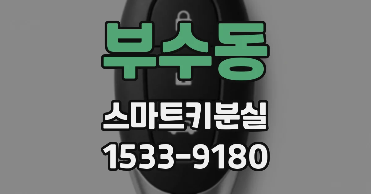 부수동 스마트키분실