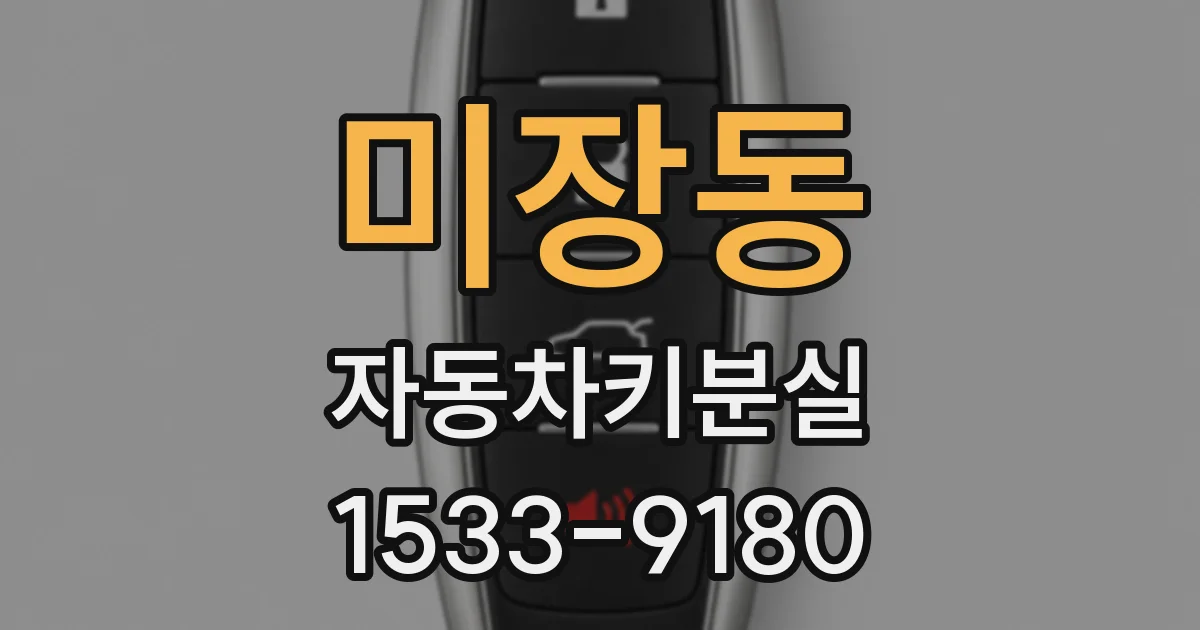 미장동 자동차키분실