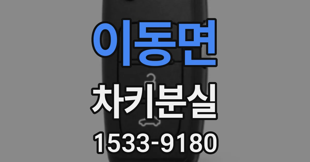 이동면 차키분실