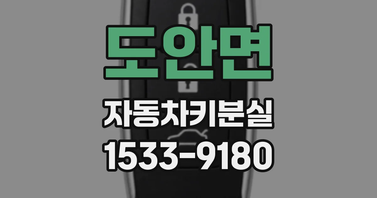 도안면 자동차키분실