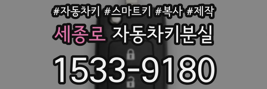 세종로 자동차키분실
