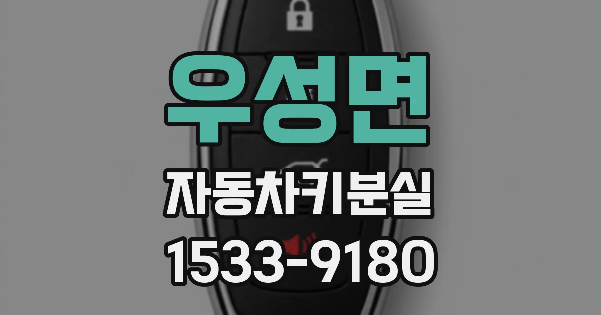 우성면 자동차키분실