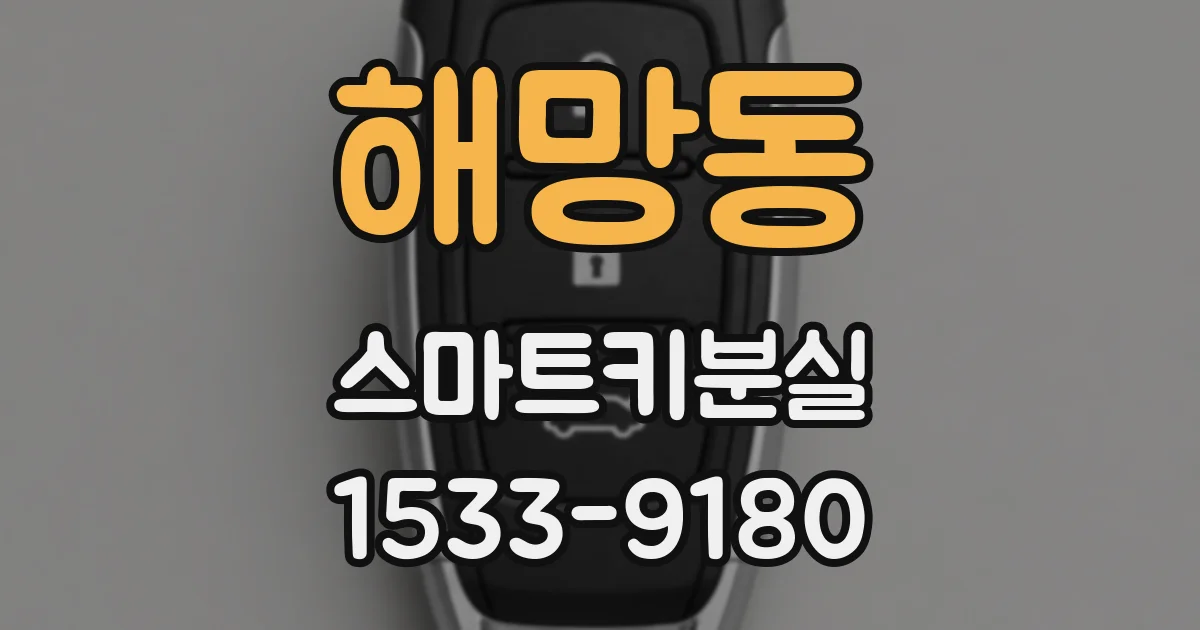 해망동 스마트키분실