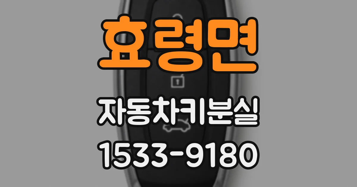 효령면 자동차키분실