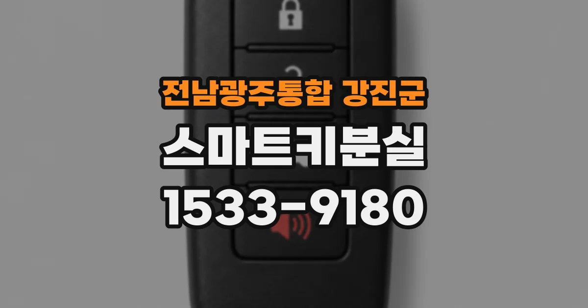 전남광주통합 강진군 스마트키분실