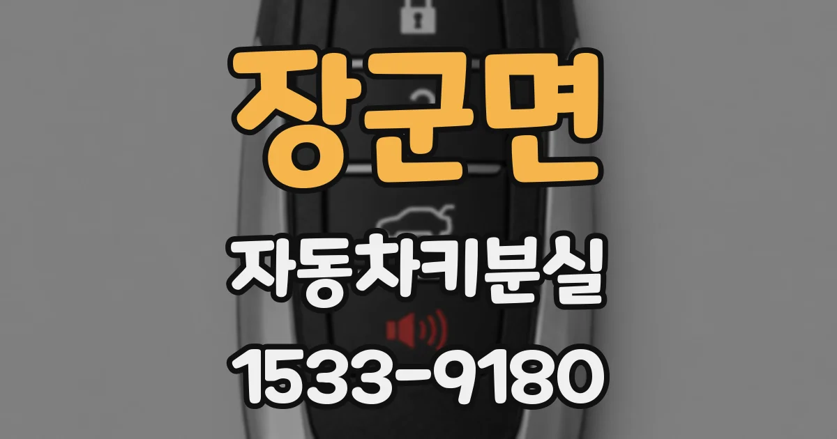 장군면 자동차키분실