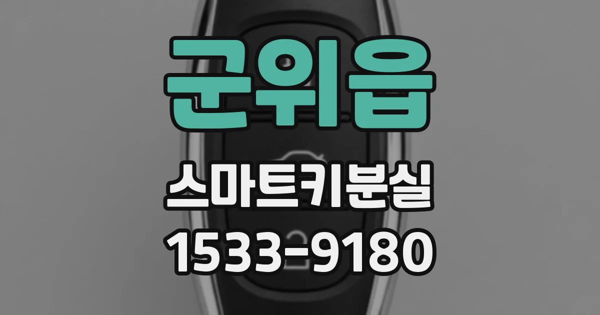 군위읍 스마트키분실