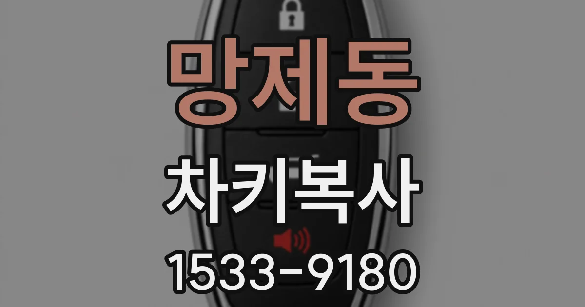 망제동 차키복사