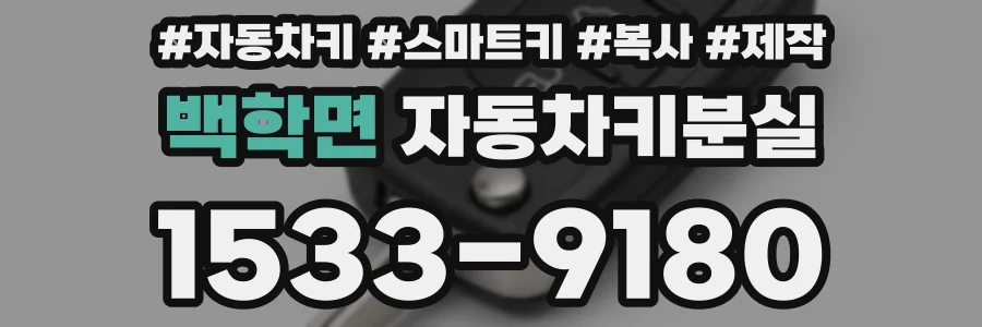 백학면 자동차키분실