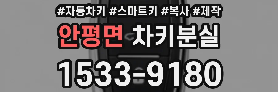 안평면 차키분실