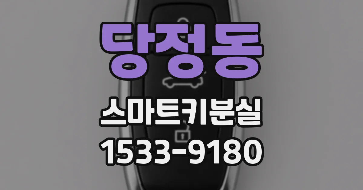 당정동 스마트키분실