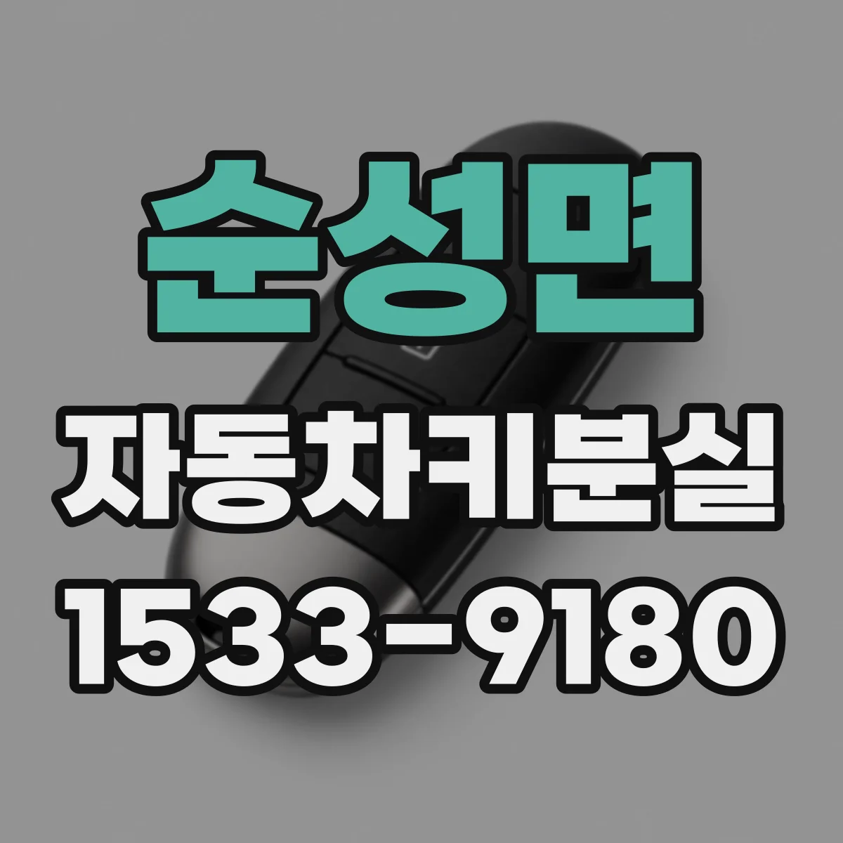 순성면 자동차키분실